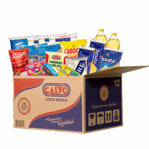 CESTA BÁSICA BEGÔNIA PREMIUM